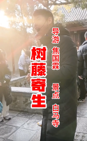 白马寺内持续80多年的树...-洛阳导游精彩讲解